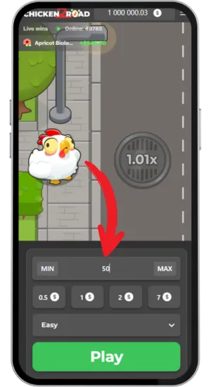 Bet amount input screen